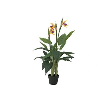 Abbildung von EUROPALMS Strelizie, Kunstpflanze, 90cm Paradiesvogelblume aus hochwertigem PEVA