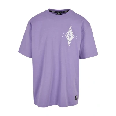 Abbildung von Starter PEAK S Tshirt print, Herren, Größe: Medium, Paisleypurple