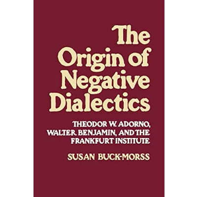 Abbildung von Origin of Negative Dialectics: Theodore W. Adorno, Walter Benjamin, and the Frankfurt Institute