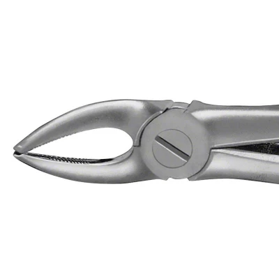 Abbildung von ANATOMICA Zahnzange BÜCHS Haftprofil Figur 136 OK Prämolaren