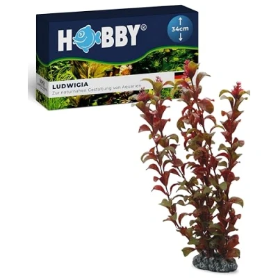 Abbildung von HOBBY Aquariendeko Ludwigia, 34 cm Kunststoffpflanze für Aquarien