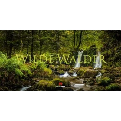 Abbildung von Wilde Wälder Kalender 2025, Wandkalender / Panoramakalender im Querformat (66x33 cm) Landschaftskalender Naturkalender