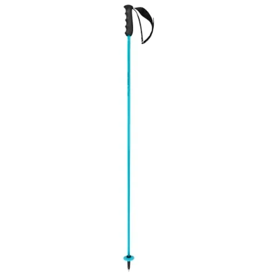 Abbildung von HEAD Unisex Adult Worldcup Rebels Carbon Skistöcke, Speed Blue/Schwarz/Weiß, 125