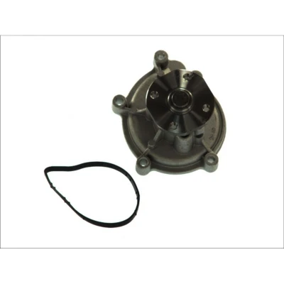 Abbildung von THERMOTEC D1M051TT Wasserpumpe mit Dichtung mechanisch MERCEDES BENZ: B Klasse, A MITSUBISHI: COLT 6, SMART: Forfour I