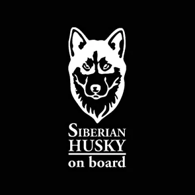 Abbildung von SUIFENG Autoaufkleber 6.3Cmx15.2Cm Sibirischer Husky On Board Vinyl Aufkleber Schwarz Silber