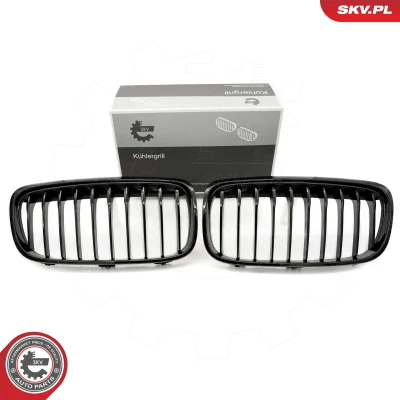 Abbildung von ESEN SKV 66SKV039 Kühlergrill glänzend, schwarz BMW: 2 Gran Tourer, Active Tourer