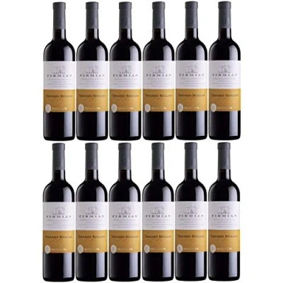 Abbildung von Castel Firmian Teroldego Rotaliano Trentino DOC Rotwein Wein trocken Italien I FeinWert Paket (12 Flaschen)
