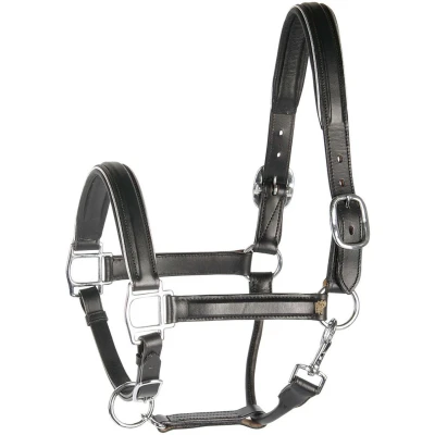 Abbildung von Harry&#039;s Horse Halfter Leder, schwarz mit Besatz Cob Silber
