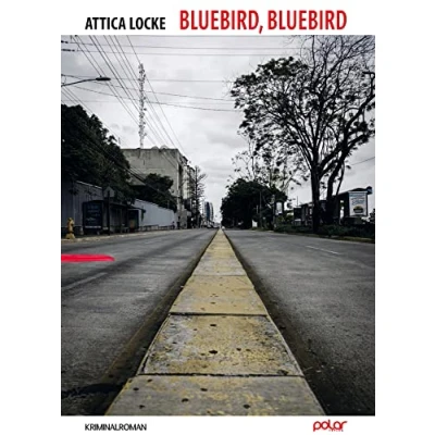 Abbildung von Bluebird, Bluebird: Kriminalroman. Edgar Award Winner 2018 und den Ian Fleming Steel Dagger