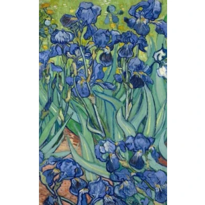 Abbildung von Van Gogh Notebook: Irises, 1889 (Van notebook, journal, journal for girls, women, prompts)