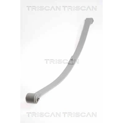 Abbildung von TRISCAN 8765 29020 Blattfeder Hinterachse VOLKSWAGEN: Caddy 3 Kombi