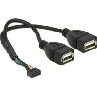 Abbildung von USB 2.0 Y Kabel, 10 Pin Header &gt; 2x A Buchse