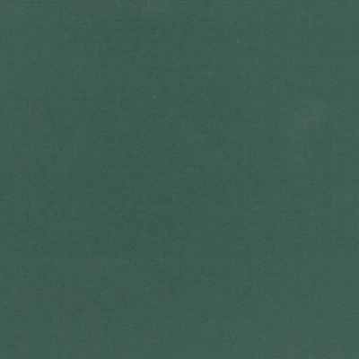 Abbildung von Clairefontaine 93498C Packung (mit 25 Blätter, 130 g, Ingres Pastell Papier, gekörnt, 50 x 65 cm, ideal für Trockentechnik) dunkelgrün