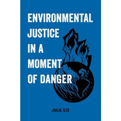 Abbildung von Environmental Justice in a Moment of Danger: Volume 11 (American Studies Now: Critical Histories the Present, Band 11)