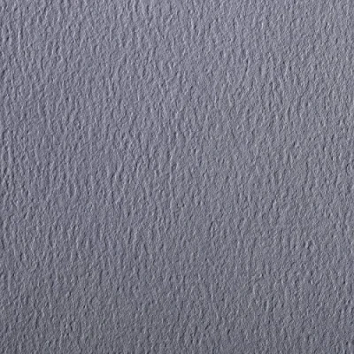 Abbildung von Clairefontaine 90868C Packung (mit 5 Bögen Zeichenpapier Etival Color, DIN A4, 21 x 29,7 cm, 160g, gekörnt, ideal für Trockentechnik und Einrahmen) dunkelgrau