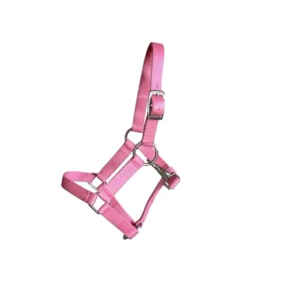 Abbildung von Gartenpferd Halfter, rosa