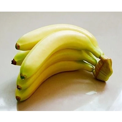 Abbildung von Musuntas® 5PCS banane Kunstobst Obst Dekoobst Deko künstliches