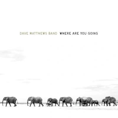 Abbildung von Where Are You Going: The Singles [Vinyl LP]