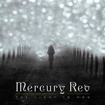 Abbildung von The Light in You (Lp+CD) [Vinyl LP]