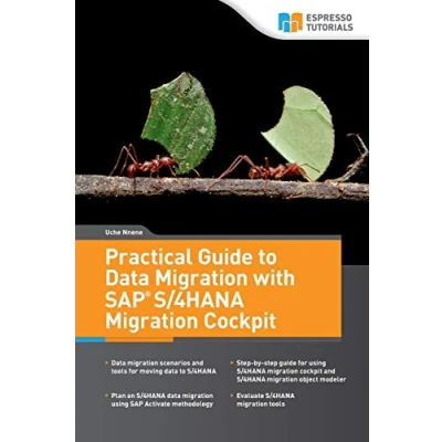 Abbildung von Practical Guide to Data Migration with SAP S/4HANA Cockpit