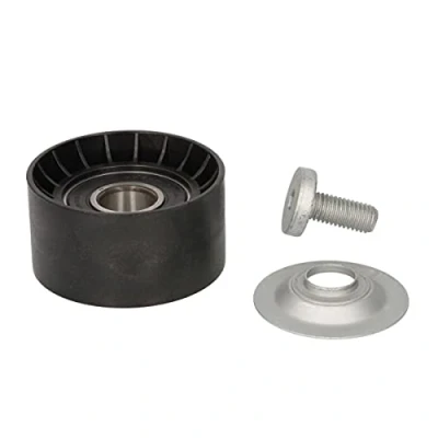Abbildung von DAYCO APV1111 Umlenkrolle