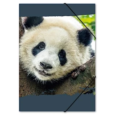Abbildung von itenga Zeichenmappe DIN A3 mit Motiv Gummizugmappe Sammelmappe für Kinder Jugendliche Schüler Mädchen Jungen (Panda A3)