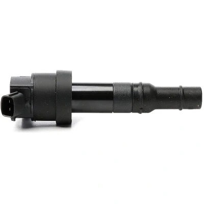 Abbildung von METZGER 0880532 Zündspule 2 12 HYUNDAI: i20 I Schrägheck, II KIA: Picanto II, Rio 3, 4 Schrägheck