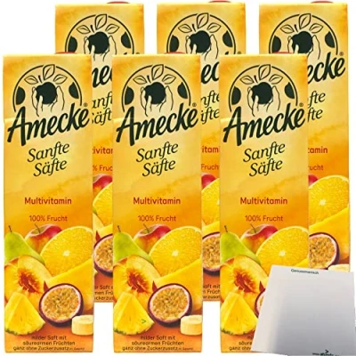 Abbildung von Amecke Sanfte Säfte Multivitamin 100% Frucht 6er Pack (6x1 Liter) + usy Block