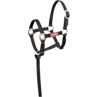 Abbildung von Premiere Fohlen Halser Set Brisk Mit Mini Line Schwarz XS