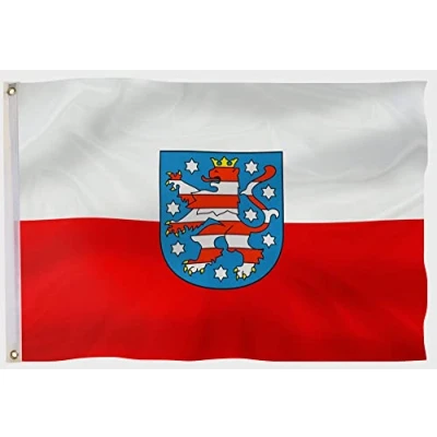 Abbildung von PHENO FLAGS Flagge Thüringen 90 x 150 cm Fahne Bundesland Wappen Löwe (Hissflagge für Fahnenmast), Inkl. 2 Messing Ösen