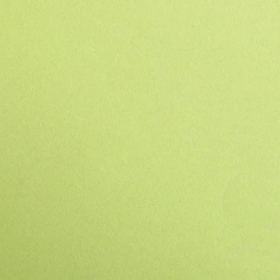 Abbildung von Clairefontaine 397252C Packung (mit 125 Bögen Zeichenpapier Maya, 50 x 70 cm,270g, glatt, ideal für Trockentechnik und Einrahmen) mossgrün