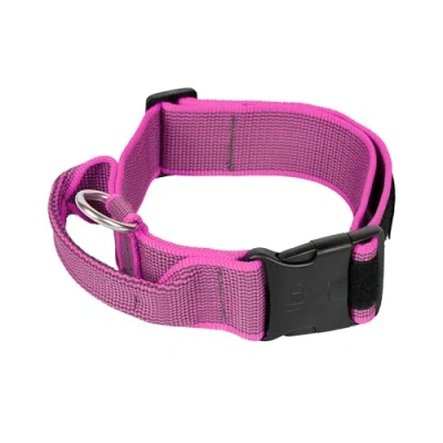 Abbildung von Julius K9 C&amp;amp G Halsband, mit Handgriff, rosa/grau, 50mm/47 67