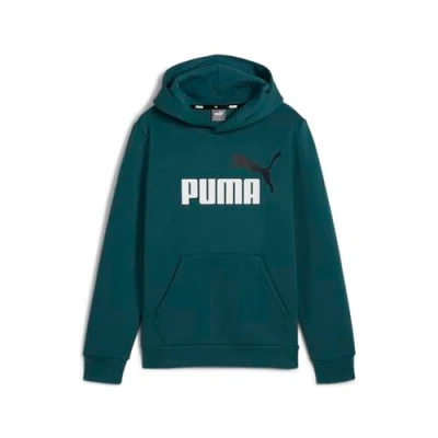 Abbildung von Puma BIG LOGO Hoodie Unisex Kapuzenpullover für Kinder, Größe: 116, Cold green