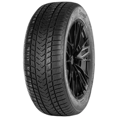 Abbildung von Gripmax Suregrip Ewinter 175/65 R17 87V EV XL