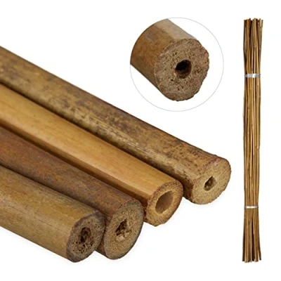 Abbildung von relaxdays Rankhilfe Bambus Pflanzstäbe 120 cm 40er Set