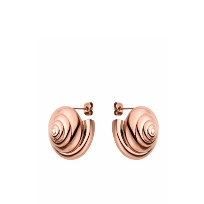 Abbildung von Purelei® Nautical Big Ohrstecker Muschelspiral Ohrringe aus Edelstahl in Gold, Silber oder Roségold Maritimer Statement Schmuck für Damen 25 mm groß, 15 g (Rosegold)