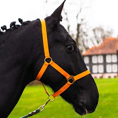 Abbildung von Halfter für Pferd Warmblut, Vollblut, Kaltblut Stallhalfter, Weidehalfter, 2 Fach verstellbar an Kinnriemen und Genickstück, sicher &amp; reißfest (Orange, Kaltblut)
