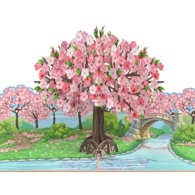 Abbildung von MOKIO® Pop Up Blumenkarte Japanischer Kirschblüten Baum 3D Grußkarte zum Geburtstag, Sakura Blüte Geburtstagskarte