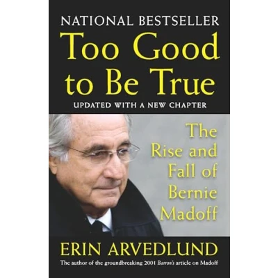 Abbildung von Too Good to Be True: The Rise and Fall of Bernie Madoff