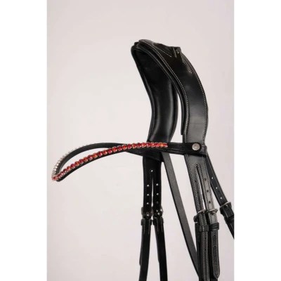 Abbildung von Montar Fair Frontriem Red crystal curved