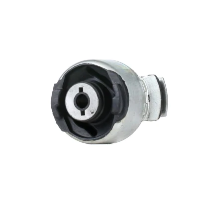 Abbildung von SASIC 4005528 Achslager Hinterachse rechts RENAULT: LAGUNA 2, 2 Grandtour