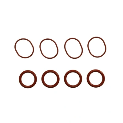 Abbildung von REINZ 11 38553 01 Dichtungssatz, Ansaugkrümmer LAND ROVER: Range Rover Evoque, Discovery Sport, Freelander 2 SUV, FORD: MONDEO 4 Turnier, S Max Mk1