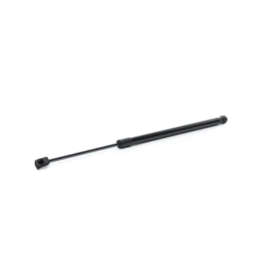 Abbildung von RIDEX 219G1006 Heckklappendämpfer 620 578 HYUNDAI: Tucson, ix35