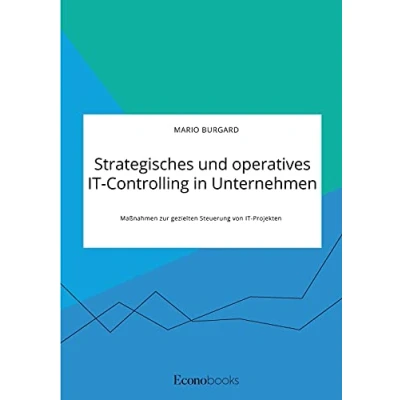 Abbildung von Strategisches und operatives IT Controlling in Unternehmen. Maßnahmen zur gezielten Steuerung von Projekten