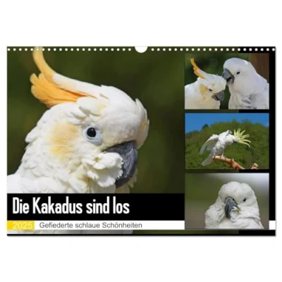 Abbildung von Die Kakadus sind los (Wandkalender 2025 DIN A3 quer), CALVENDO Monatskalender