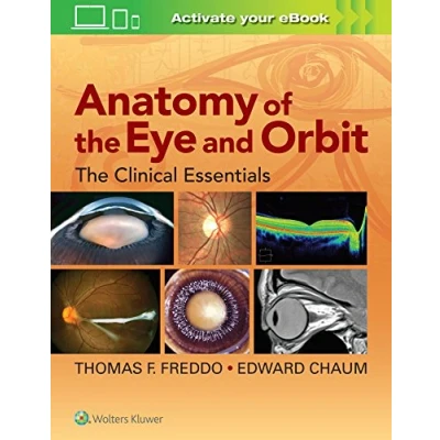 Abbildung von Anatomy of The Eye and Orbit, None: Clinical Essentials