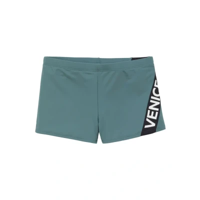 Abbildung von Venice Beach Badehose Pants, Herren, Größe: Small, Grün