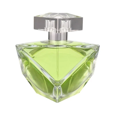 Abbildung von Britney Spears Believe Eau de Parfum 100 ml