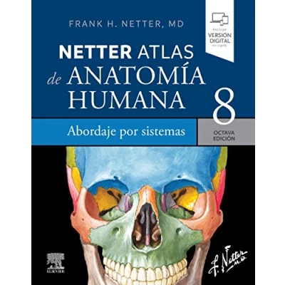 Abbildung von Netter. Atlas de anatomía humana. Abordaje por sistemas, 8.ª Edición