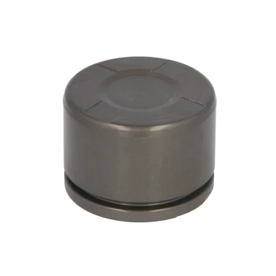 Abbildung von AUTOFREN SEINSA D025662 Kolben, Bremssattel 42 Hinterachse ATE
